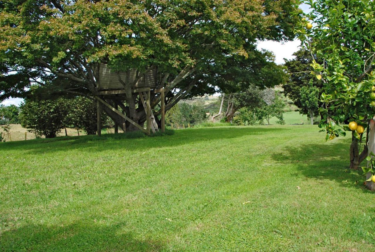 Poripori Homestead Tauranga Exterior foto